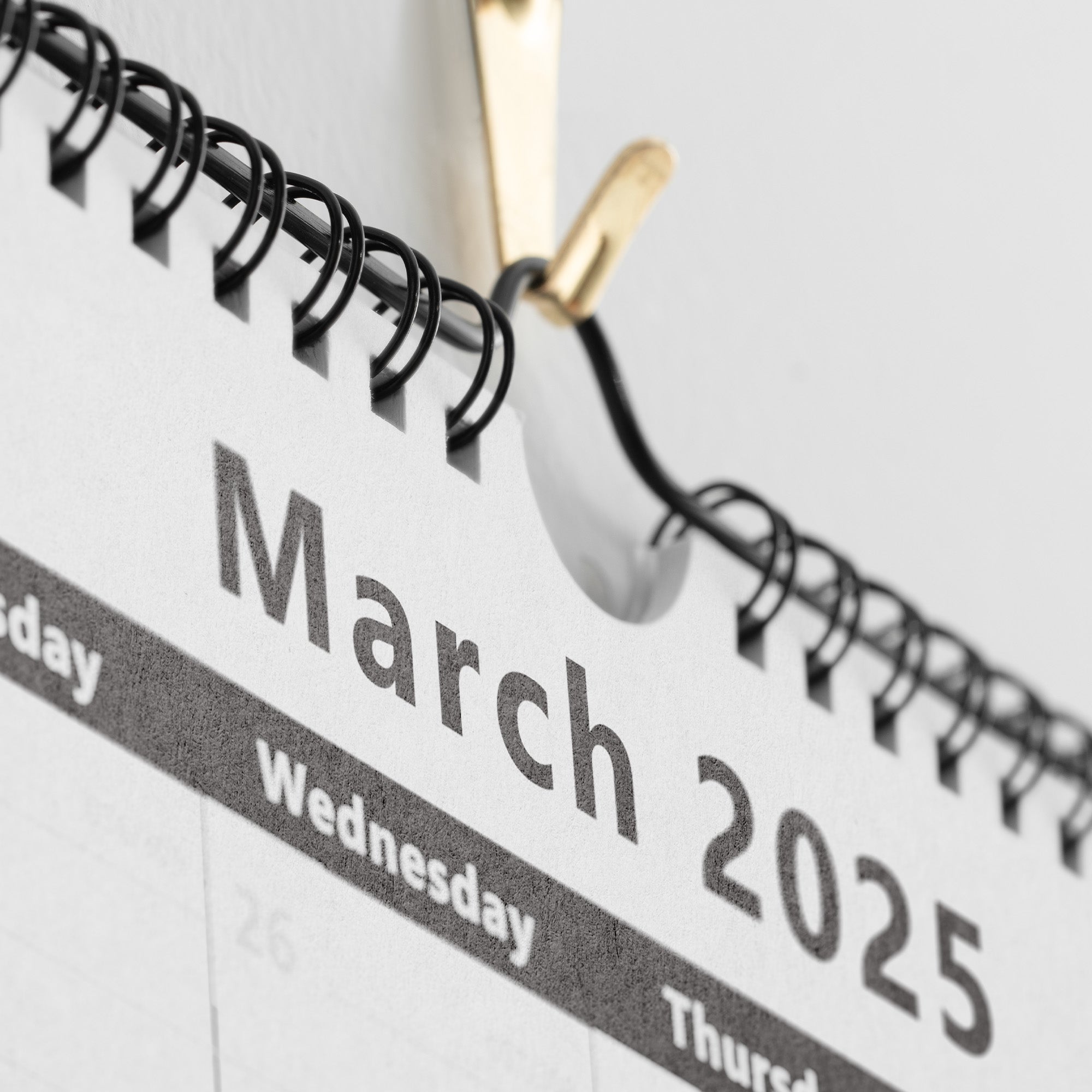 Nekmit 2025 - 2026 Ruled Blocks Wall Calendar 15" x 12"